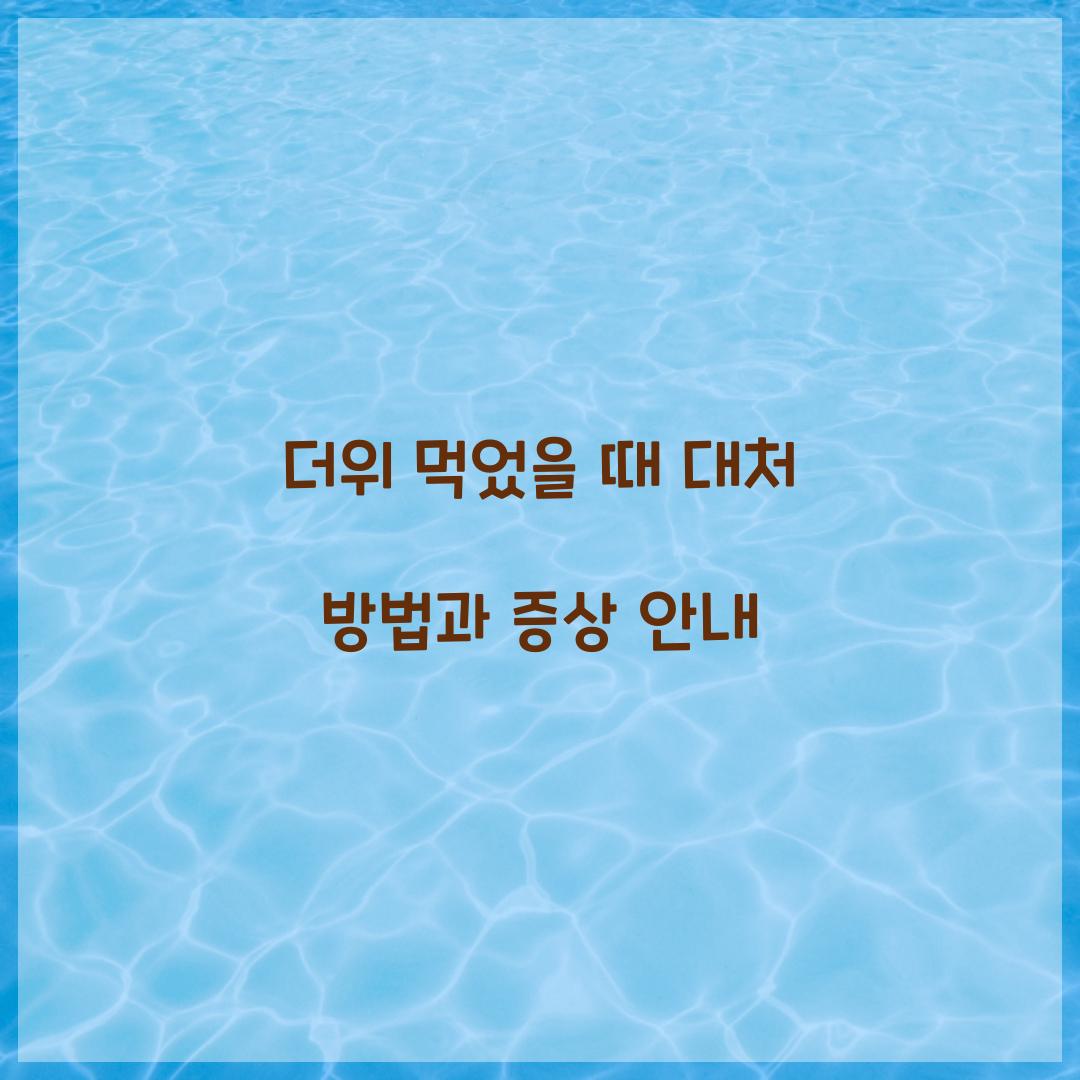 더위 먹었을 때 대처 방법