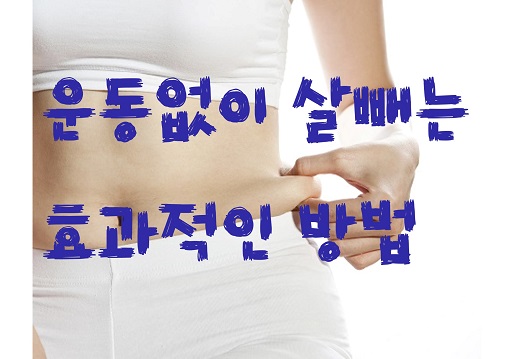 운동없이 살빼기 가능할까 ?에 대한 다이어트 정리 이미지