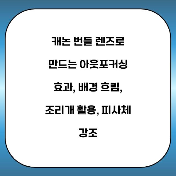 캐논 번들 렌즈로 만드는 아웃포커싱 효과