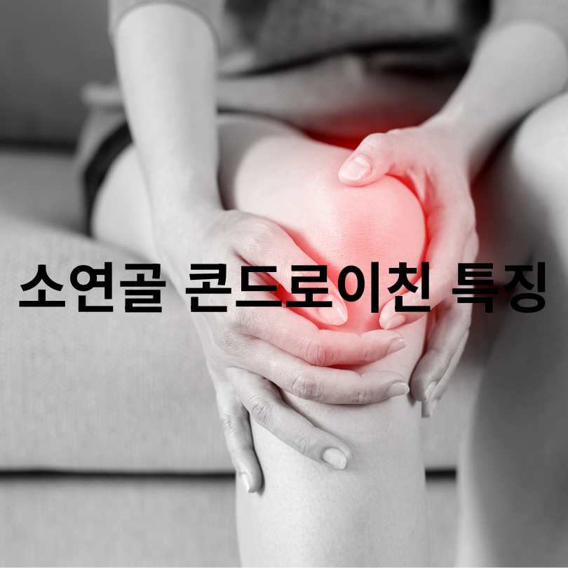 콘드로이친 소연골과 상어연골 차이