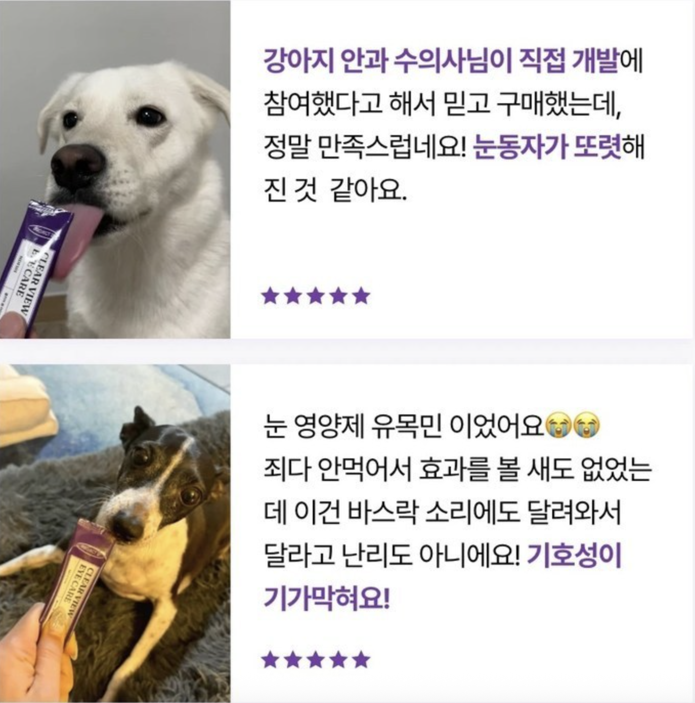 후기 많은 강아지 백내장 눈 영양제 3종 비교 추천 관련 사진