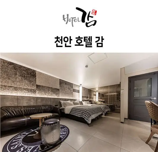호텔감