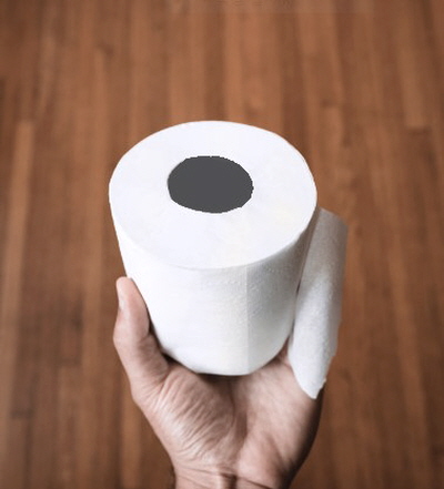 변기 배관을 막는 휴지 모습