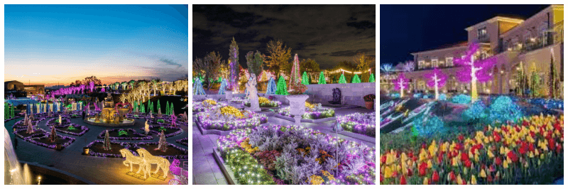 별빛이 흐르는 정원 사진 3개