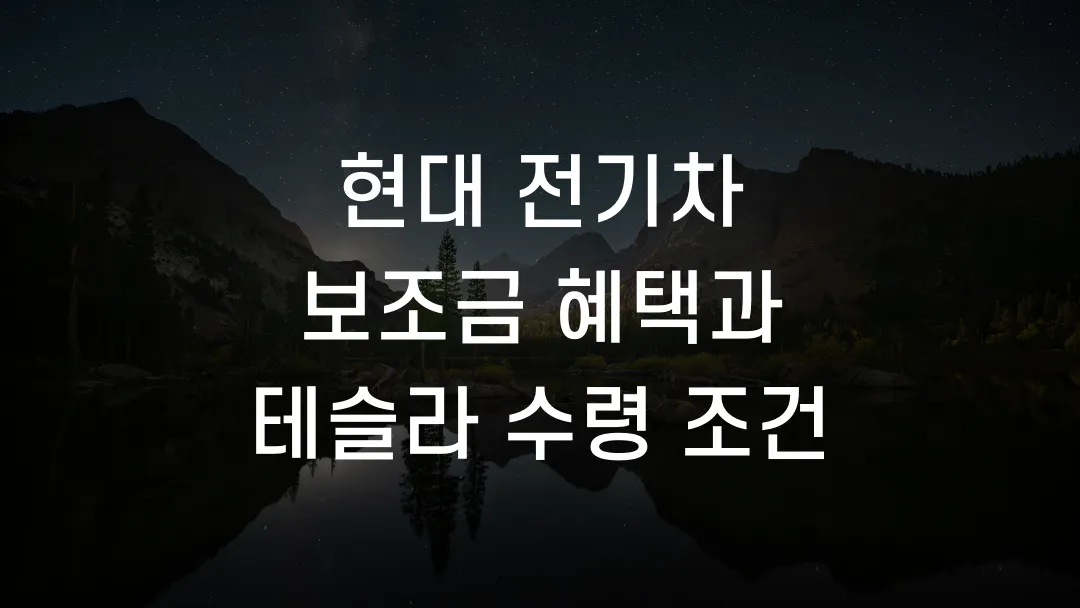 현대 전기차 보조금 혜택과 테슬라 수령 조건