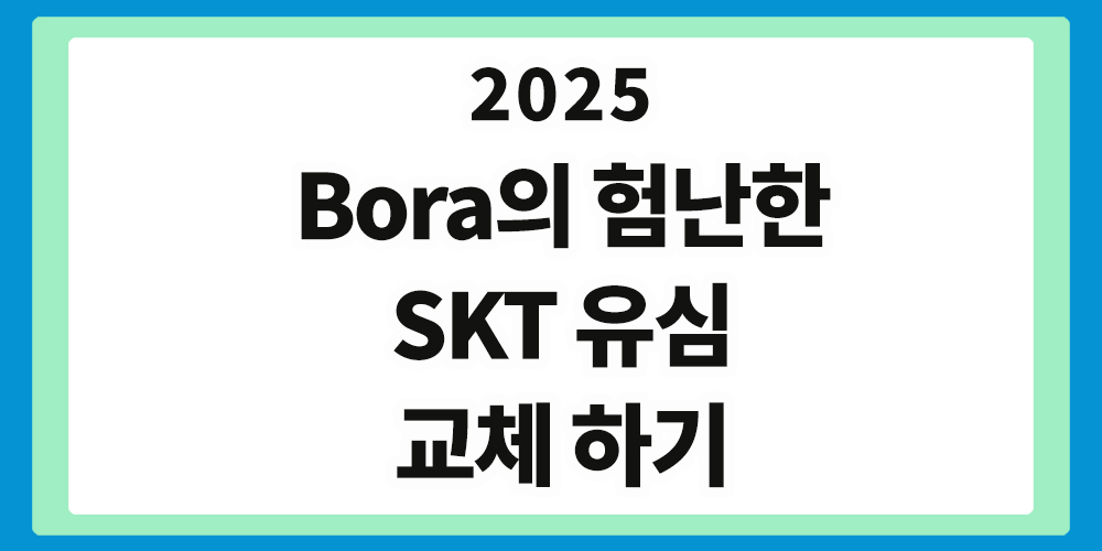 SKT 유심 교체