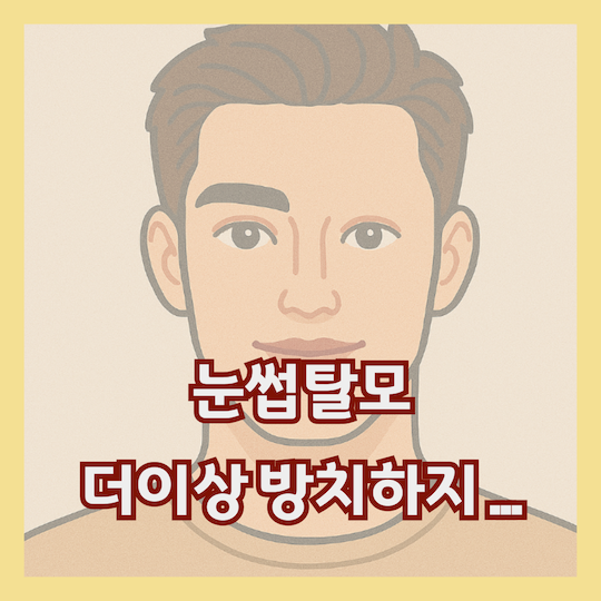 눈썹-탈모