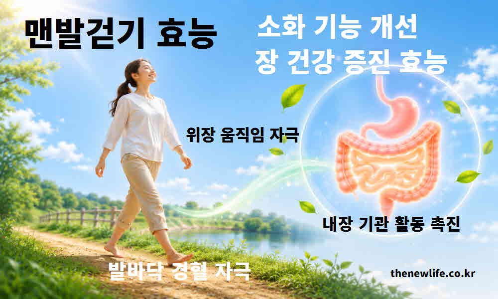 맨발걷기 효능 소화 기능 개선 장 건강 증진