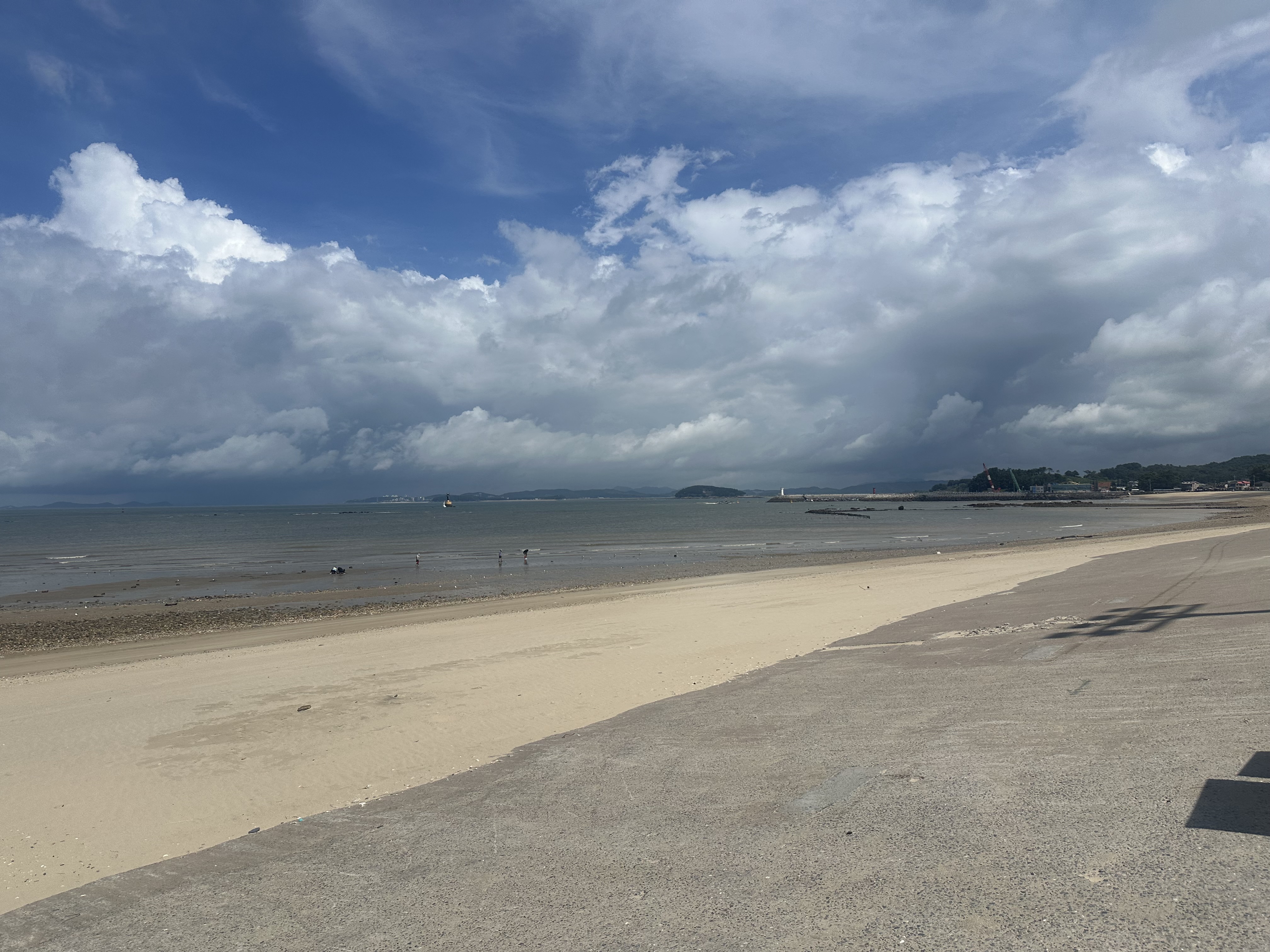 충남 보령, 대천, 무창포 여행 후기3(국내 가족 여행지 추천, 무창포 비체팰리스, 또다시 갯벌체험, 대천 맛집 부페, 점심 밥집 뷔페, 진짜 예쁜 카페 아르나, 분위기 좋은 카페 아르나, 한밤중 닭벼슬섬 산책, 대천항 수산시장 재방문, 찰광어회, 오징어회, 우성수산, 수연호수산, 무창포 비체펠리스, 오션뷰, 밥 해먹을 수 있는 숙소, 무창포 펜션)