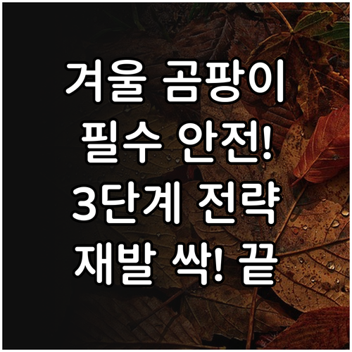 겨울철 곰팡이 제거 필수 안전 수칙과..