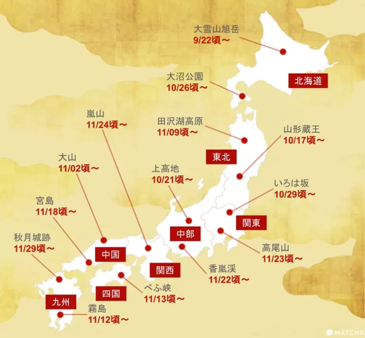 일본여행 단풍시기