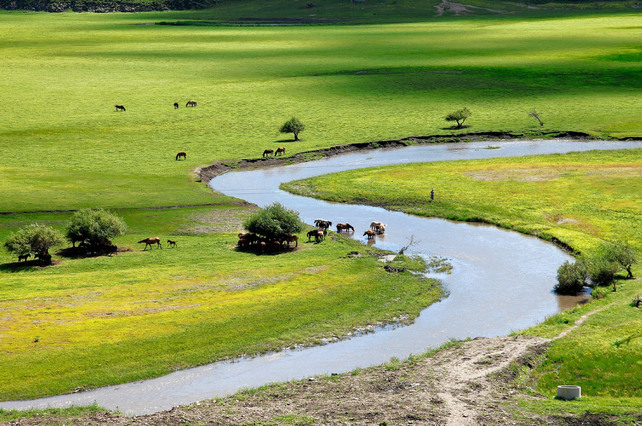 몽골 관련 사진