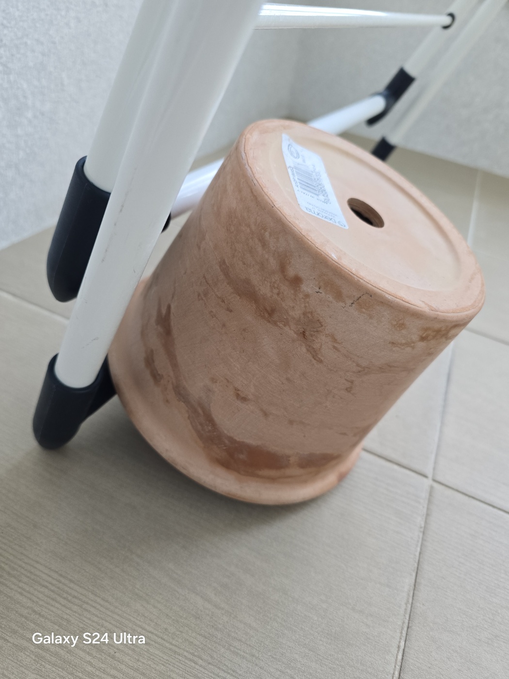 하루가지난 후 토분모습