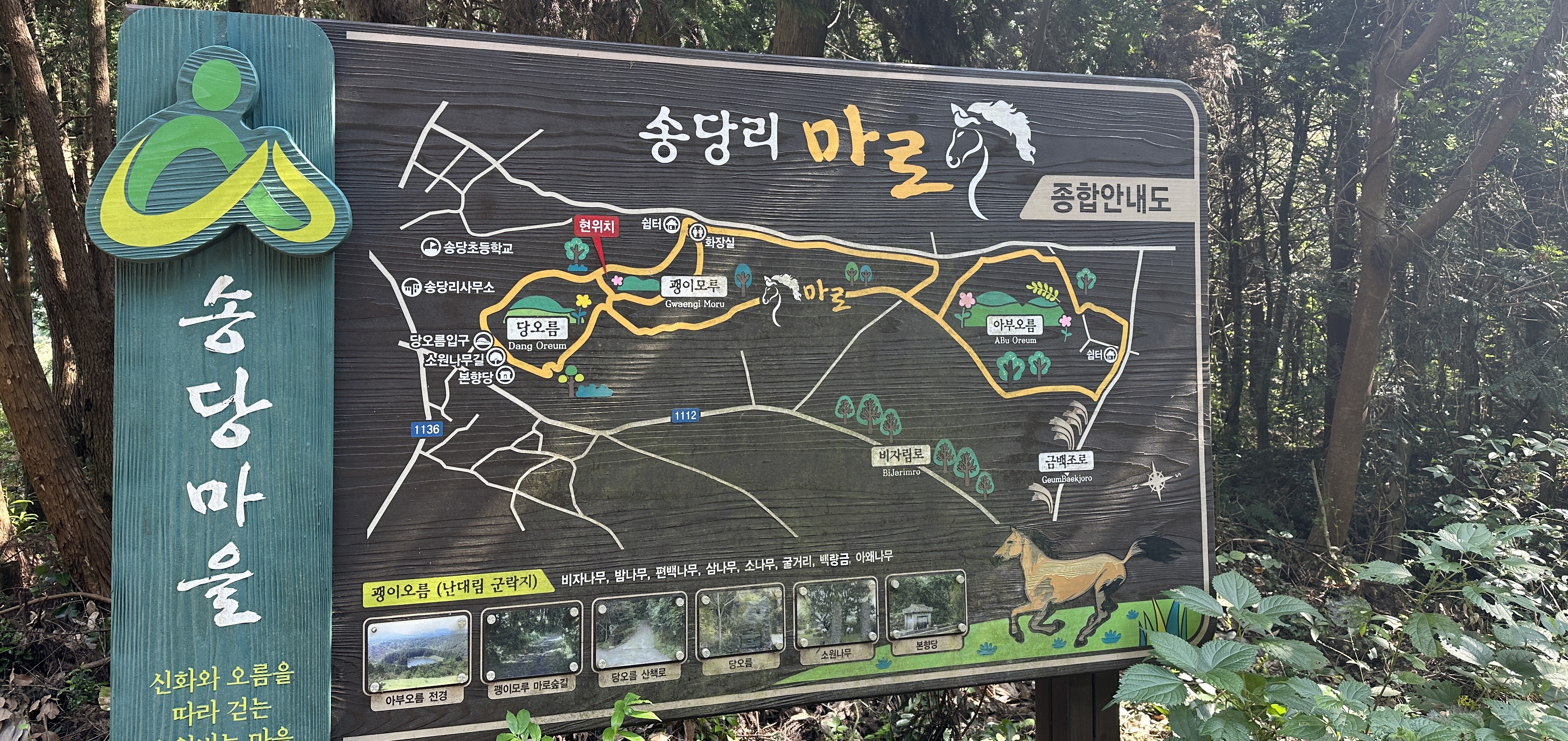 괭이 모루 숲길 산책로