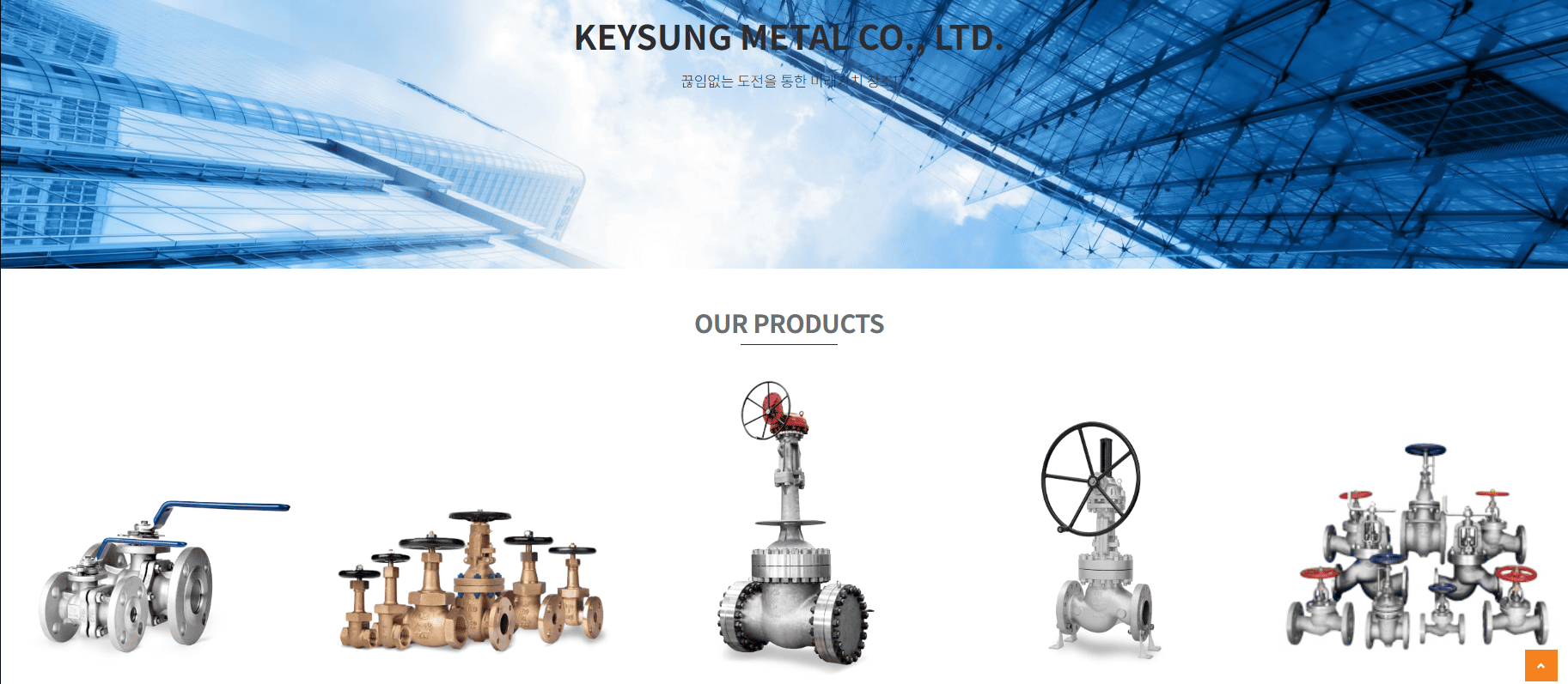 홍준표 관련 주식