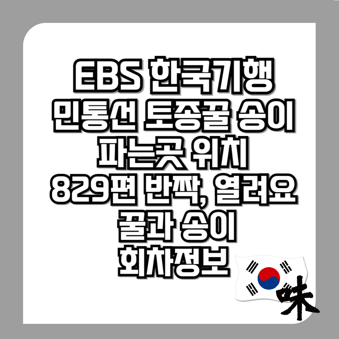 한국기행-민통선-토종꿀-송이-파는곳-829화-반짝,-열려요-11월-4일-꿀과-송이-회차정보