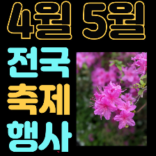 전국 꽃축제 일정