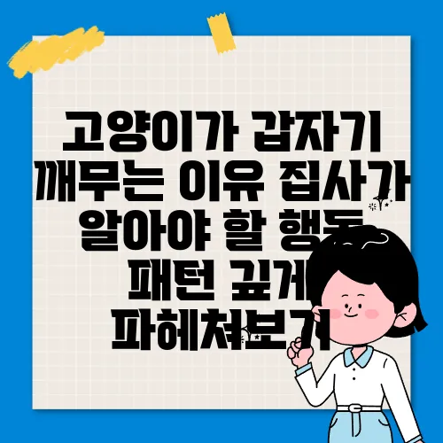 고양이가 갑자기 깨무는 이유 집사가 알아야 할 행동 패턴 깊게 파헤쳐보기