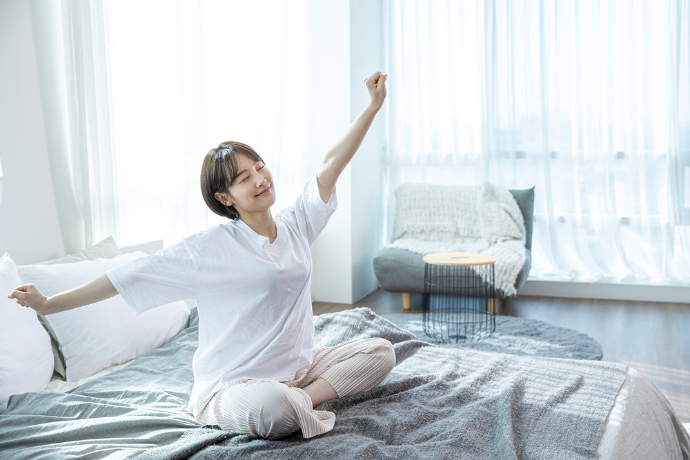 멜라토닌의 모든것