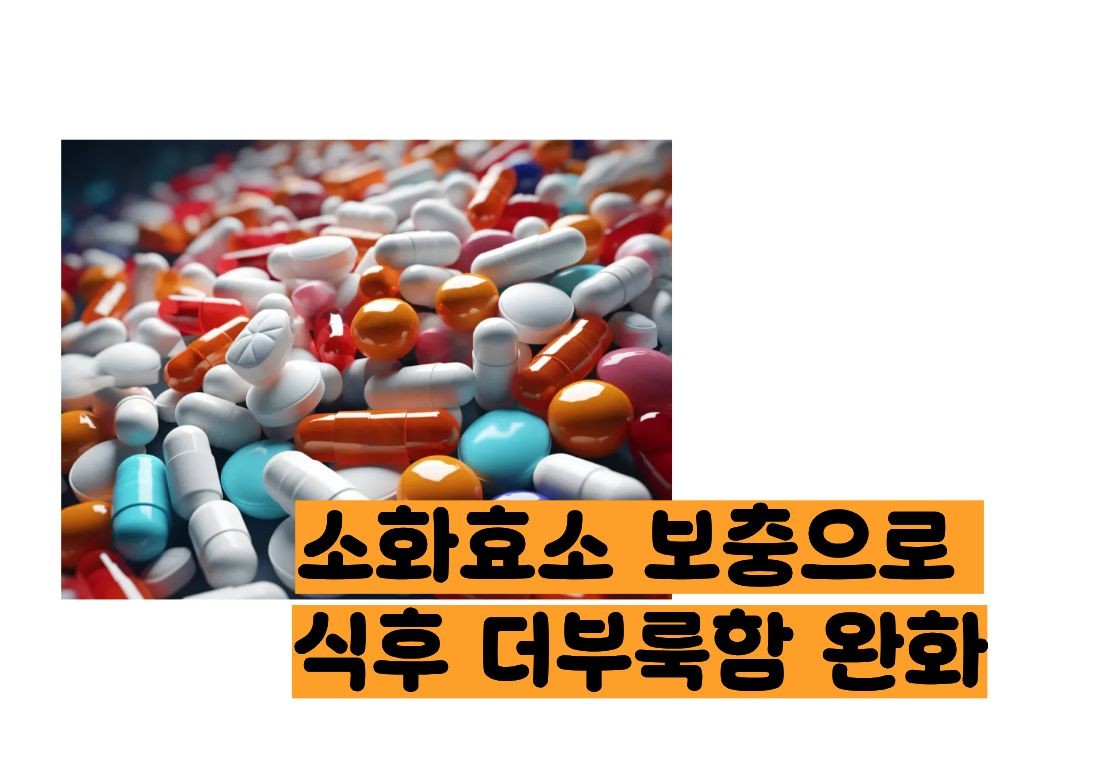 노자임 캡슐 효능