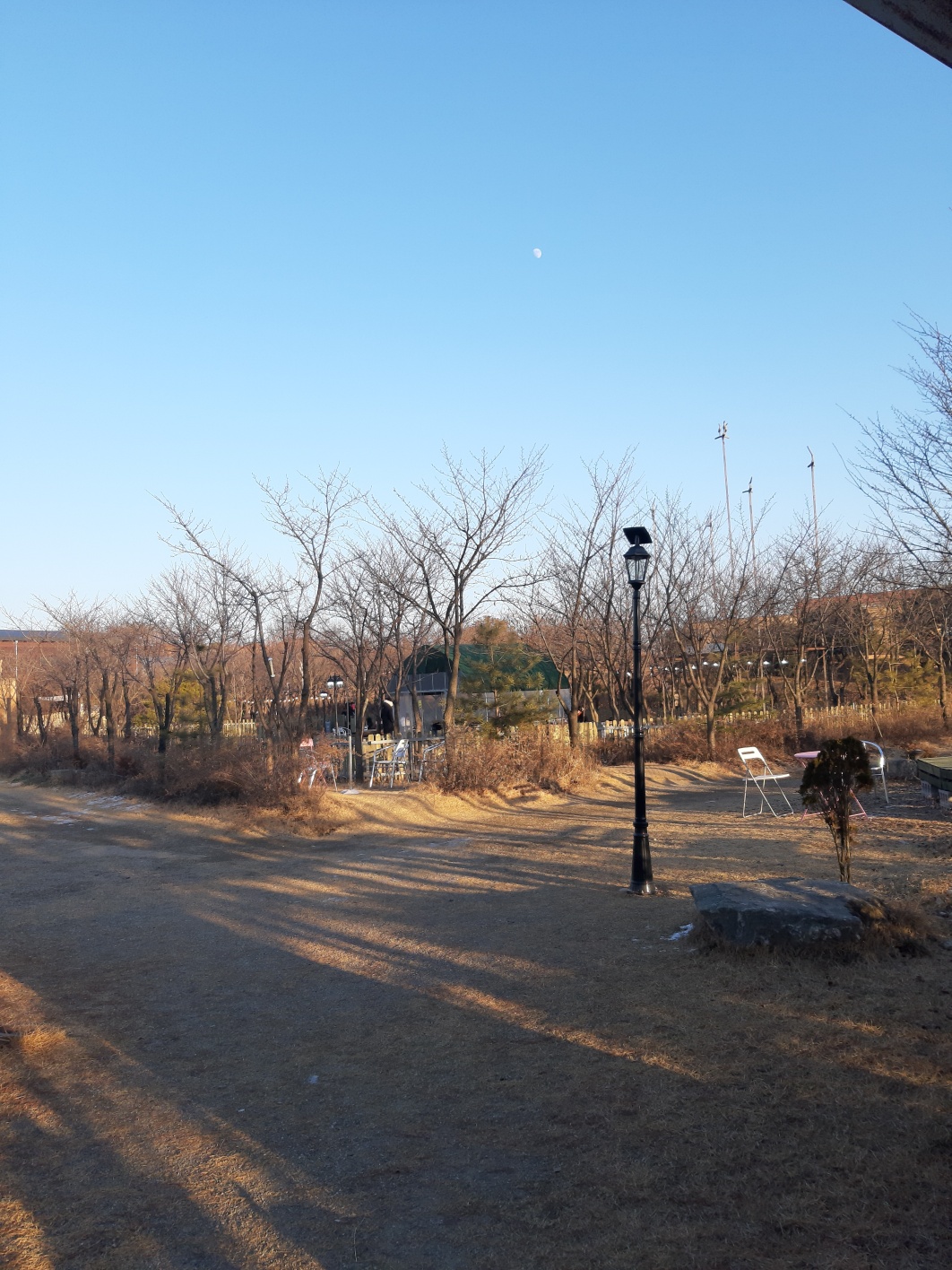 힐링그라운드 반려견 동반 카페 전경3