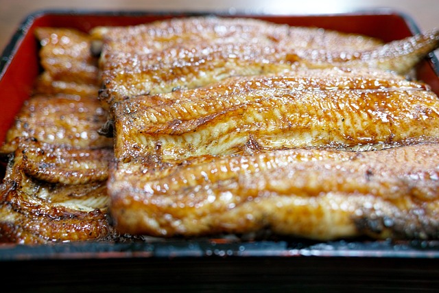 장어의 효능 및 부작용