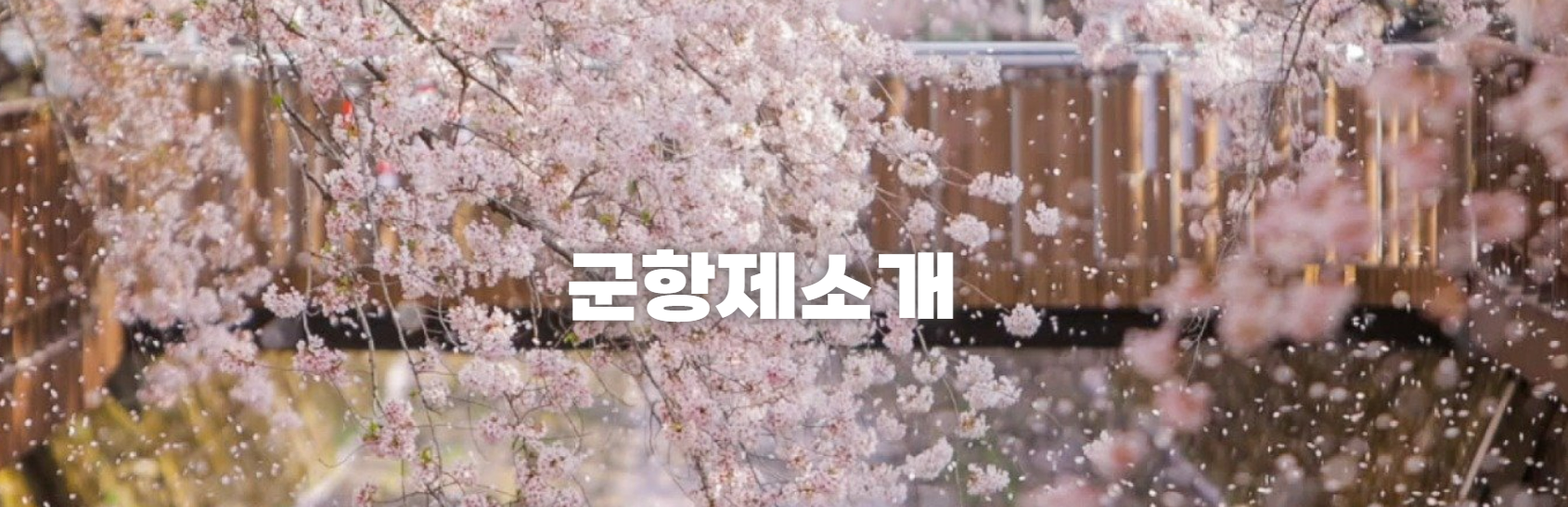 제64회 진해군항제 일정 주차 및 셔틀안내, 벚꽃 명소 안내