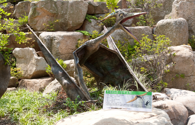 안면도 쥬라기박물관