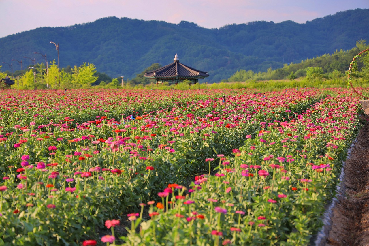 안동 가볼만한곳 베스트10 8