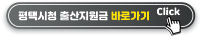 평택시청 출산지원금 바로가기