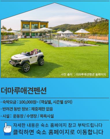 더마루펜션