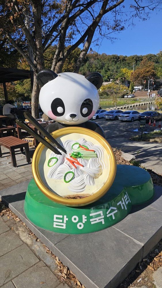 담양 관방제림 &amp; 메타세쿼이어랜드 단풍 절정 실시간 후기 : 이번주 전라남도 가볼만한곳 추천