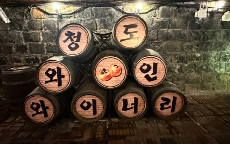 청도 와인터널