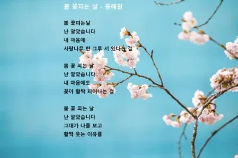 봄 시 모음 이해인 나태주 명시 모음_3