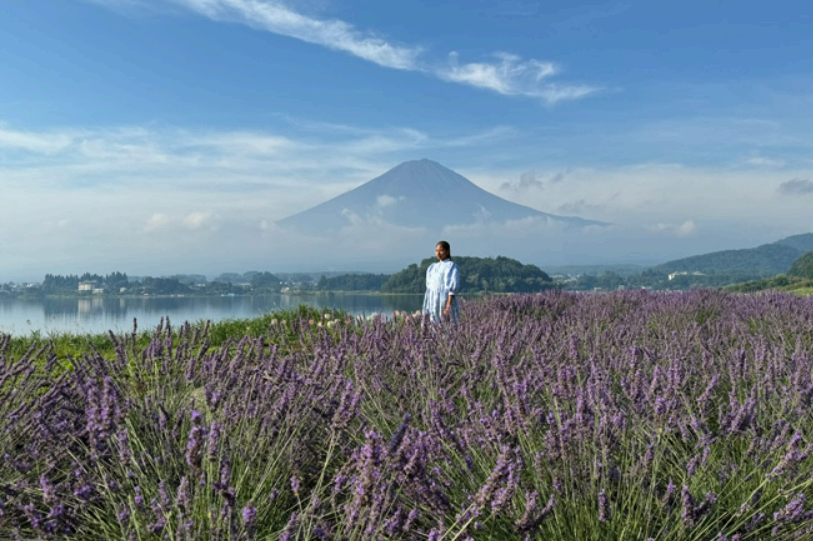 아이폰 프로 망원 사진