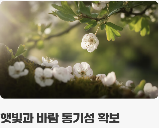 예쁜 수형을 위한 마법, 가지치기