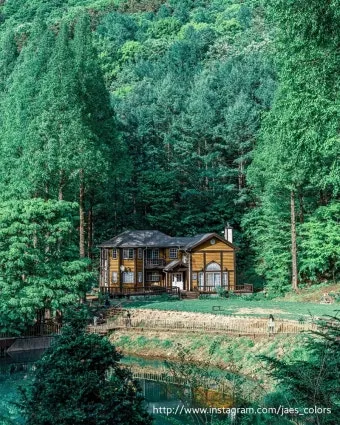 자연 속 힐링 2025년 국립자연휴양림 여름 명소 추천 3곳 완벽 여행_7