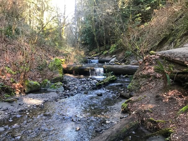 보츠헬 정원 (Boeing Creek Park &amp; Shoreview Park)관련사진