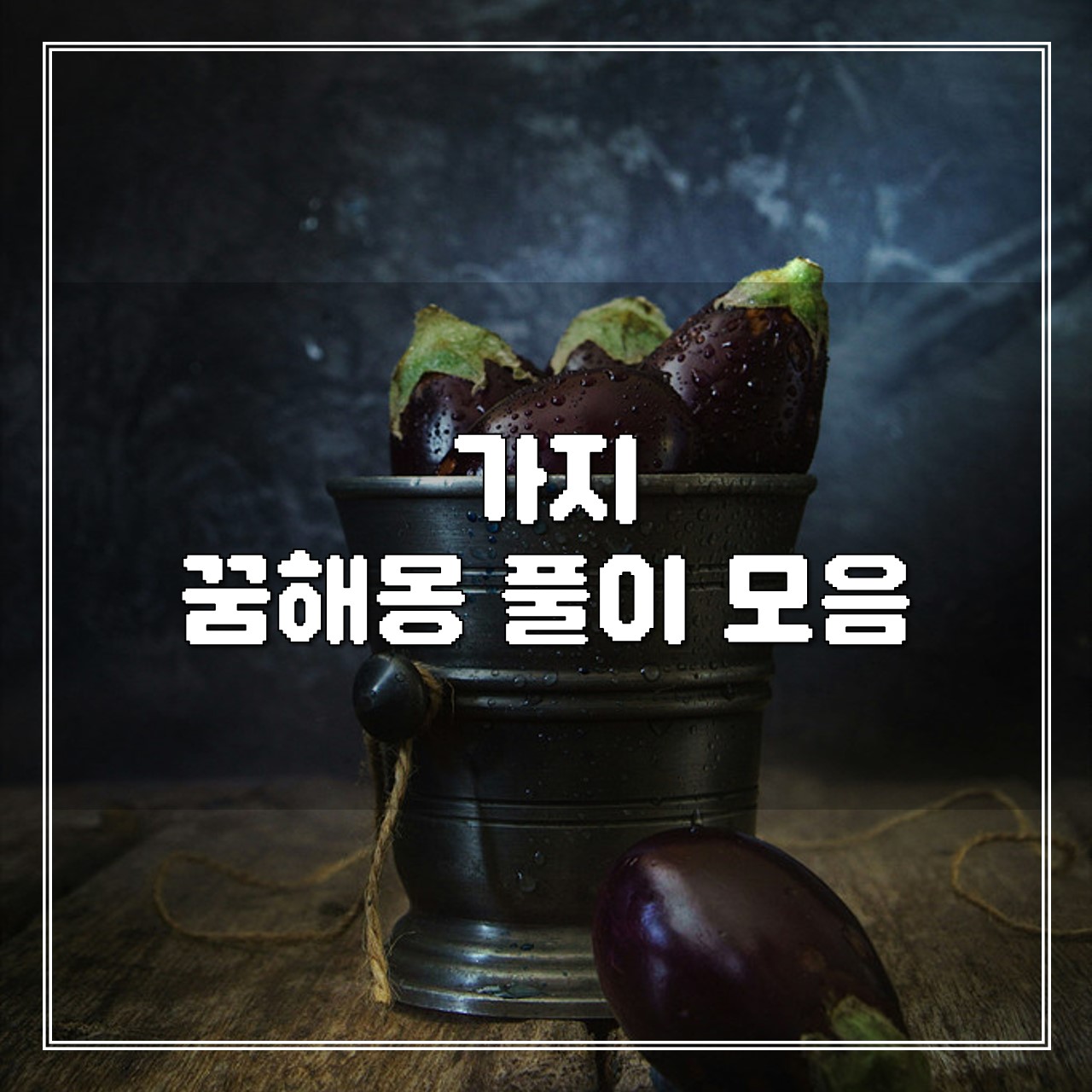 가지 꿈해몽 풀이 모음 썸네일