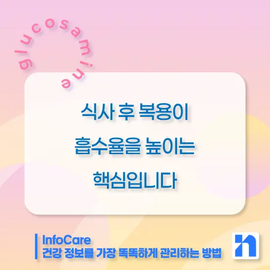 글루코사민 효능, 복용법, 주의사항