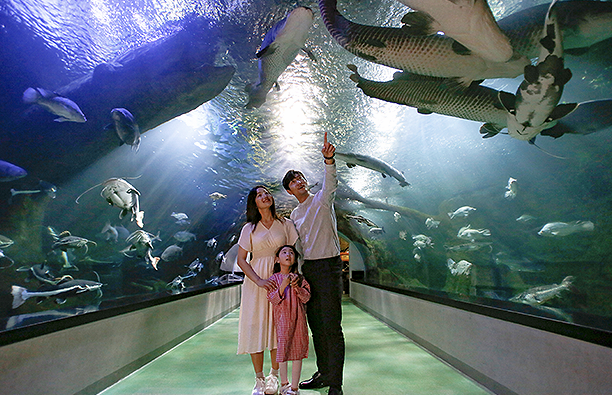 한화 아쿠아플라넷 일산 이미지