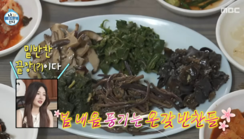 나혼자산다 키 강원도 식당 각종 산나물 반찬들