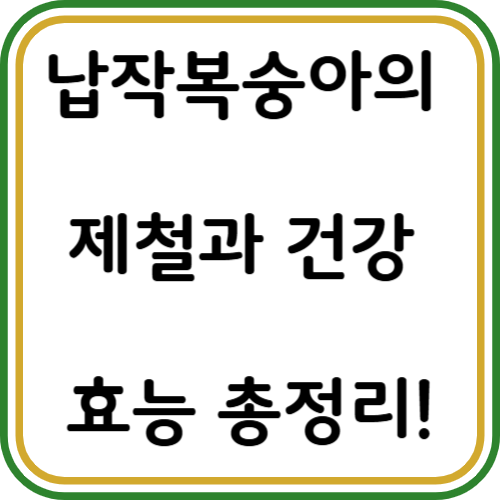 납작 복숭아 철 납작 복숭아 건강 효능