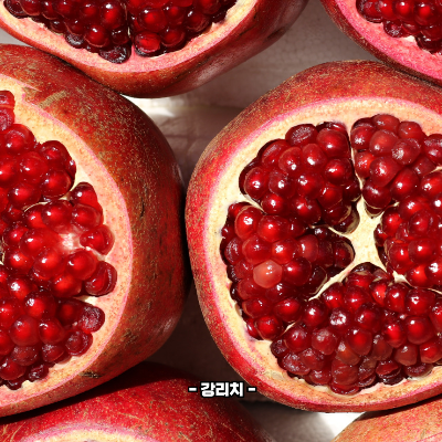 석류 영양성분