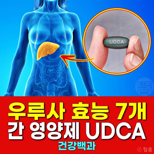 우루사 효능 간영양제 udca 효과