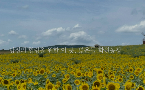 고창학원농장21