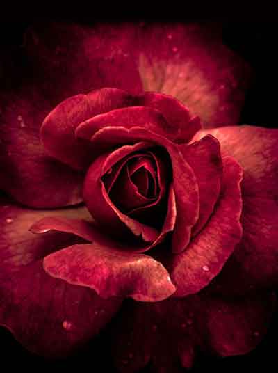 치명적 매력 홍염살