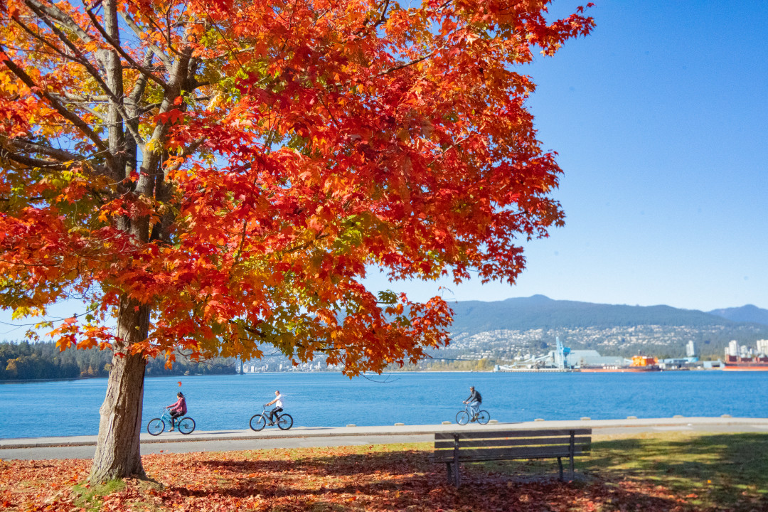 가을 스탠리공원