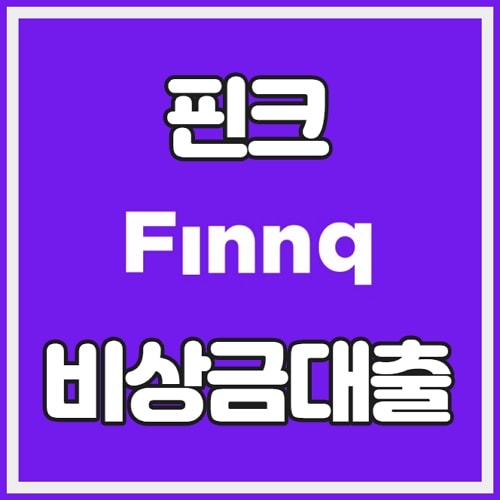 핀크 비상금대출