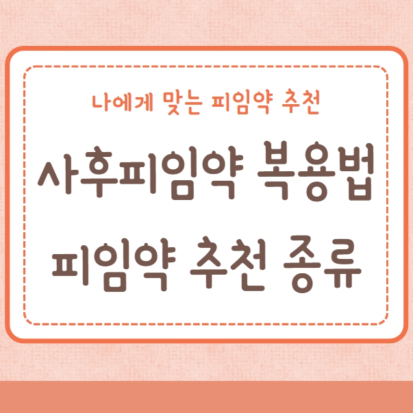 사후피임약 복용법 약국 피임약 종류 추천